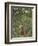 Woman with an Umbrella in an Exotic Forest-Henri Rousseau-Framed Giclee Print