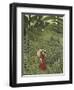 Woman with an Umbrella in an Exotic Forest-Henri Rousseau-Framed Giclee Print