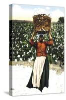 Woman with Basket of Cotton-null-Stretched Canvas