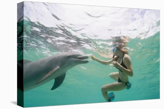 Woman with Bottlenose Dolphin-Stuart Westmorland-Stretched Canvas