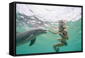 Woman with Bottlenose Dolphin-Stuart Westmorland-Framed Stretched Canvas