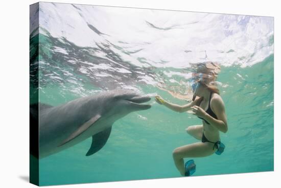 Woman with Bottlenose Dolphin-Stuart Westmorland-Stretched Canvas