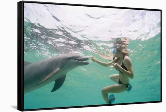 Woman with Bottlenose Dolphin-Stuart Westmorland-Framed Stretched Canvas