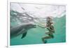 Woman with Bottlenose Dolphin-Stuart Westmorland-Framed Photographic Print