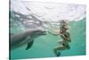 Woman with Bottlenose Dolphin-Stuart Westmorland-Stretched Canvas