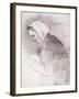 Woman with Bowed Head-Maximilien Luce-Framed Giclee Print