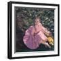 Woman with Daffodils-Charles Woof-Framed Photographic Print