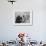 Woman with Dog in Christmas Outfit-null-Framed Photo displayed on a wall