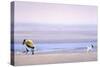 Woman with Dog-Mark Van Crombrugge-Stretched Canvas