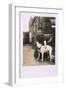 Woman with Dogo-null-Framed Photographic Print