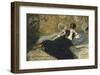 Woman with Fans, 1873-Edouard Manet-Framed Giclee Print