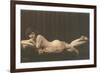 Woman with Filmy Wrap-null-Framed Premium Giclee Print