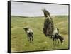 Woman with Goats on the Dunes, 1890-Max Liebermann-Framed Stretched Canvas