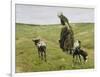 Woman with Goats on the Dunes, 1890-Max Liebermann-Framed Giclee Print