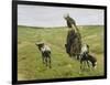 Woman with Goats on the Dunes, 1890-Max Liebermann-Framed Giclee Print