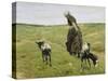 Woman with Goats on the Dunes, 1890-Max Liebermann-Stretched Canvas