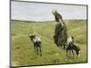 Woman with goats on the dunes. 1890-Max Liebermann-Mounted Premium Giclee Print