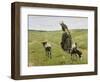 Woman with goats on the dunes. 1890-Max Liebermann-Framed Giclee Print