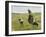 Woman with goats on the dunes. 1890-Max Liebermann-Framed Giclee Print