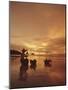 Woman with lamp and baskets on the beach, Phuket, Thailand-Luca Tettoni-Mounted Photographic Print
