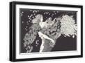 Black Frame