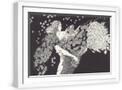 White Frame