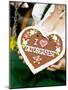 Woman with Lebkuchen Heart (Oktoberfest, Munich)-null-Mounted Photographic Print