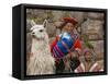 Woman with Llama, Boy, and Parrot, Sacsayhuaman Inca Ruins, Cusco, Peru-Dennis Kirkland-Framed Stretched Canvas