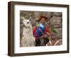 Woman with Llama, Boy, and Parrot, Sacsayhuaman Inca Ruins, Cusco, Peru-Dennis Kirkland-Framed Photographic Print