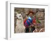 Woman with Llama, Boy, and Parrot, Sacsayhuaman Inca Ruins, Cusco, Peru-Dennis Kirkland-Framed Photographic Print