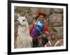 Woman with Llama, Boy, and Parrot, Sacsayhuaman Inca Ruins, Cusco, Peru-Dennis Kirkland-Framed Photographic Print