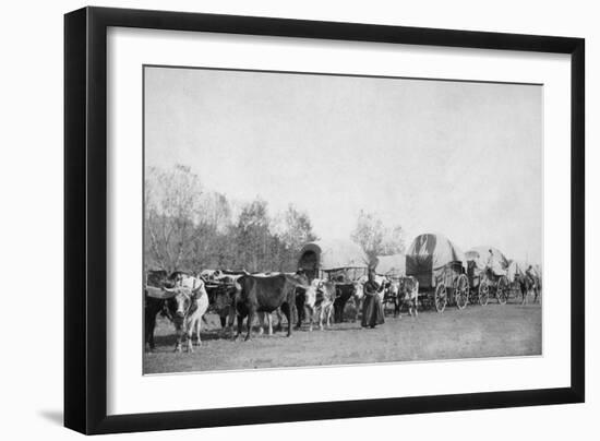 Woman with Ox Train Holds a Whip Photograph - Black Hills, SD-Lantern Press-Framed Art Print