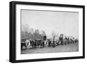 Woman with Ox Train Holds a Whip Photograph - Black Hills, SD-Lantern Press-Framed Art Print