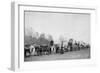 Woman with Ox Train Holds a Whip Photograph - Black Hills, SD-Lantern Press-Framed Art Print