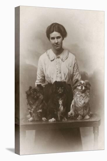 Woman with Pekingese Dogs-null-Stretched Canvas