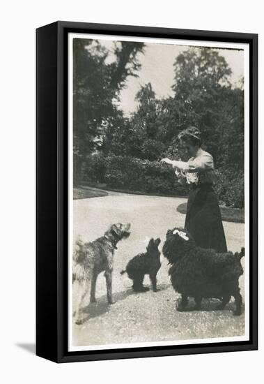 Woman with Three Dogs in a Garden-null-Framed Stretched Canvas