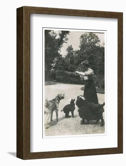 Woman with Three Dogs in a Garden-null-Framed Photographic Print