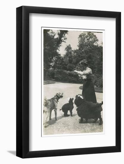 Woman with Three Dogs in a Garden-null-Framed Photographic Print