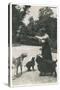 Woman with Three Dogs in a Garden-null-Stretched Canvas