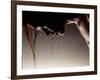 Woman with Wet Hair and Body-Joseph Hancock-Framed Photographic Print