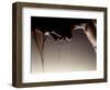 Woman with Wet Hair and Body-Joseph Hancock-Framed Photographic Print