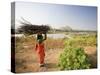 Woman Working Near Hampi, Karnataka, India-Michele Falzone-Stretched Canvas