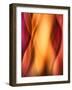 Woman-Ursula Abresch-Framed Photographic Print