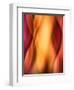 Woman-Ursula Abresch-Framed Photographic Print