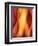 Woman-Ursula Abresch-Framed Premium Photographic Print