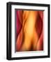 Woman-Ursula Abresch-Framed Premium Photographic Print