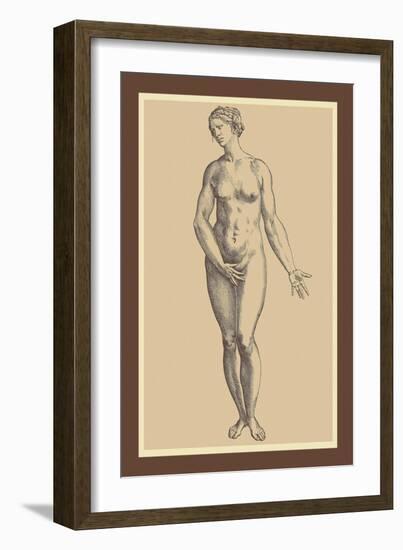 Woman-Andreas Vesalius-Framed Art Print