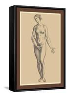 Woman-Andreas Vesalius-Framed Stretched Canvas