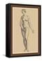 Woman-Andreas Vesalius-Framed Stretched Canvas