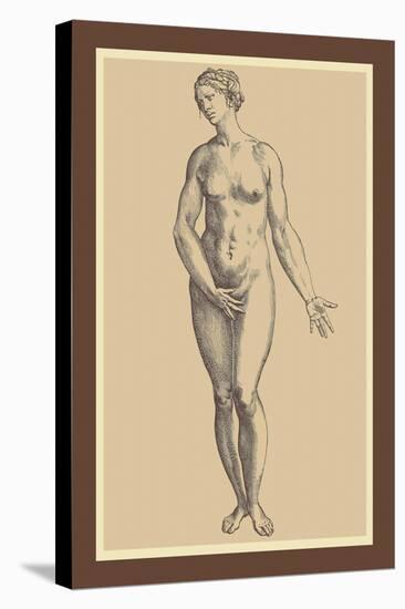 Woman-Andreas Vesalius-Stretched Canvas